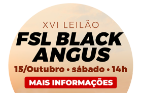XVI-LEILÃO-FSL-BLACK-ANGUS
